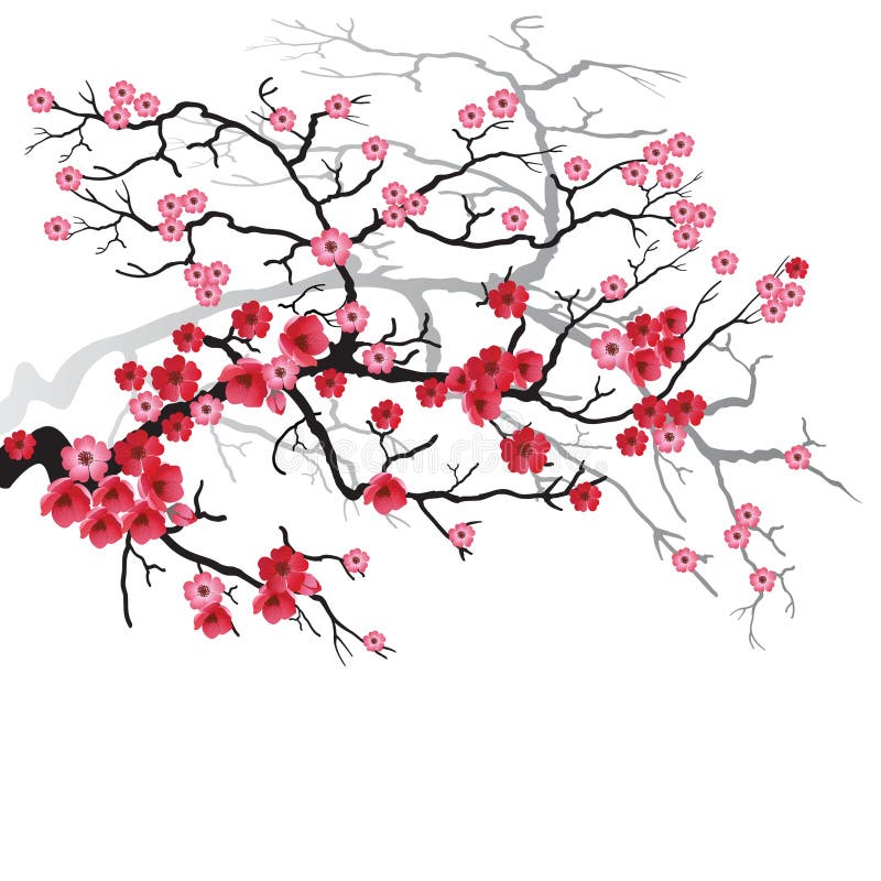 Sakura-Zweig vektor abbildung Sakura-Zweig vektor abbildung