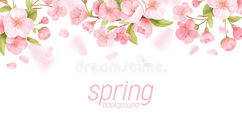 Sakura λουλούδια ρεαλιστικό πανό με λουλούδια. σχέδιο ευχετήριας κάρτας με άνθος κερασιάς. απεικόνιση λουλουδιού ελεύθερη απεικόνιση δικαιώματος