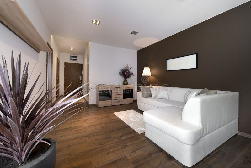 Sala de estar marrón moderna del diseño interior