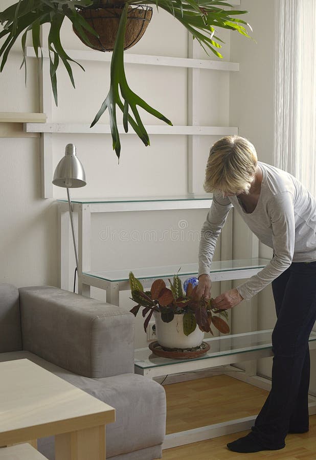 A sala floresce na prateleira nos interiores fotos de stock