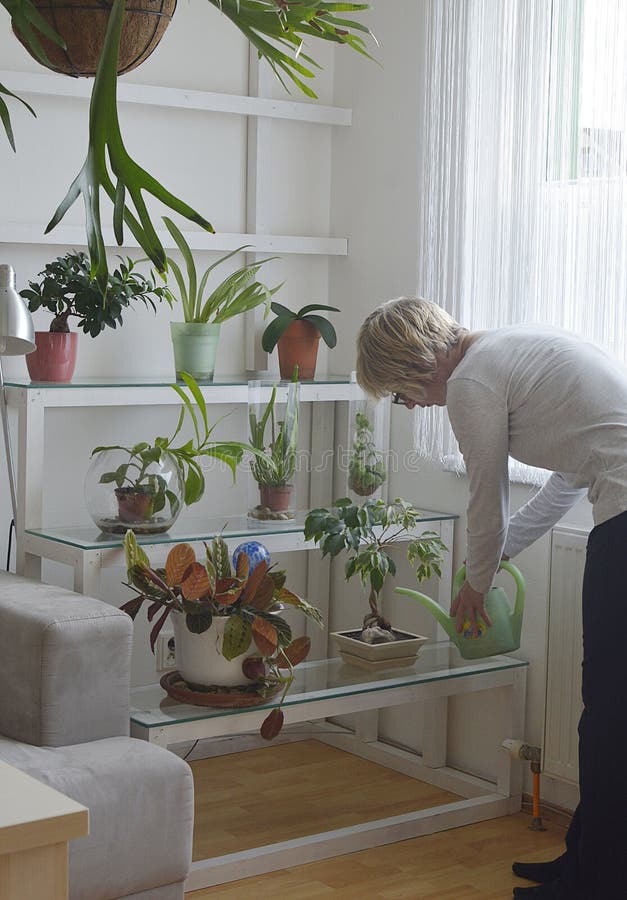 A sala floresce na prateleira nos interiores fotografia de stock royalty free