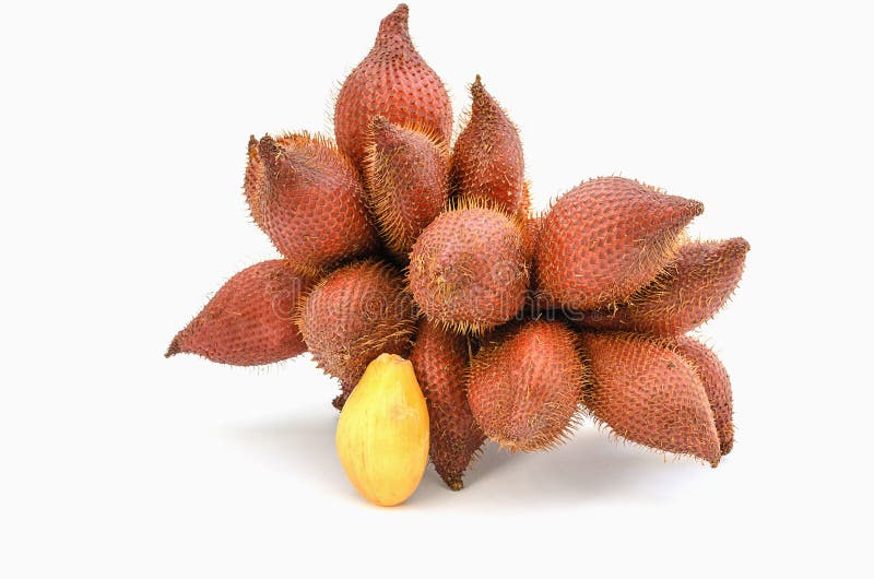 Sala or Zalacca, sweet and sour fruit from Asia