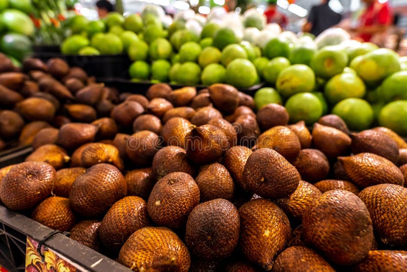 Salacca zalacca eller Salak frukter på lokal marknad Ny och organinczalacca Ormfrukt är söt och sur frukt Orm arkivfoton Salacca zalacca eller Salak frukter på lokal marknad Ny och organinczalacca Ormfrukt är söt och sur frukt Orm arkivfoton