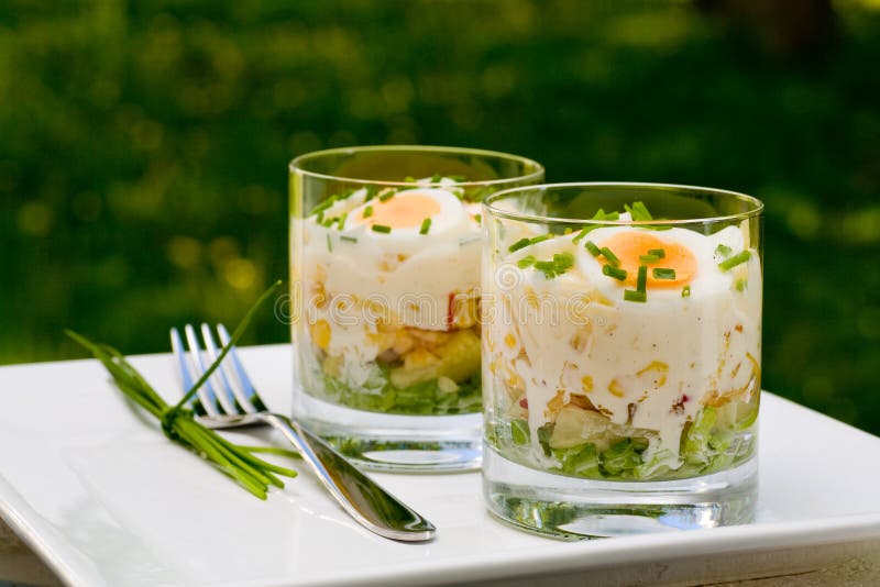 Salad 2 royalty free stock photos