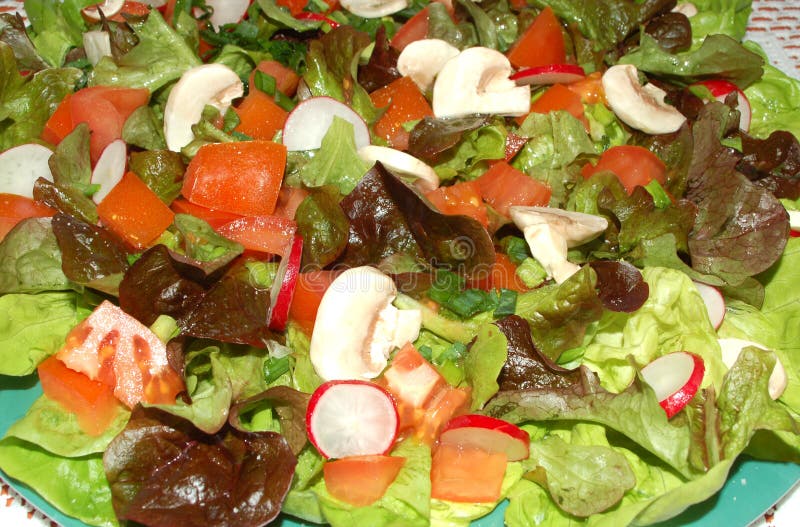 Salad 4