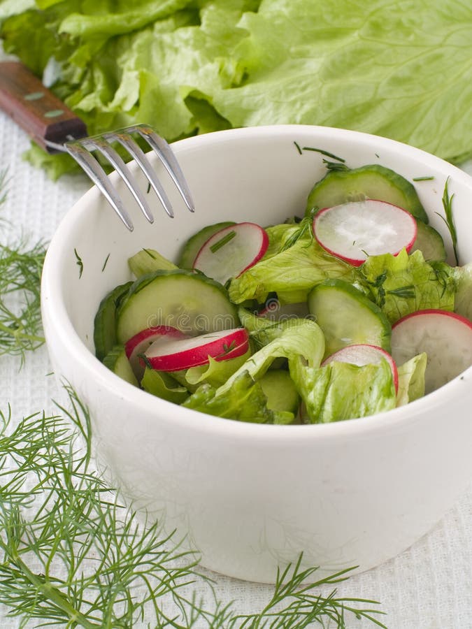 Salad from cucumber, radish and salad