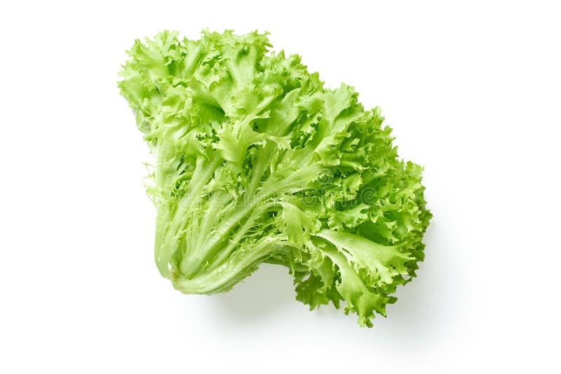 Salad head isolated stock image. Image of diet, dieting 190801845