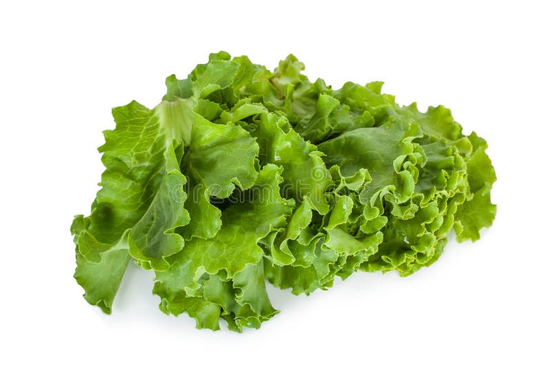 Salad isolated on white background .Salad leafs royalty free stock image Salad isolated on white background .Salad leafs royalty free stock image