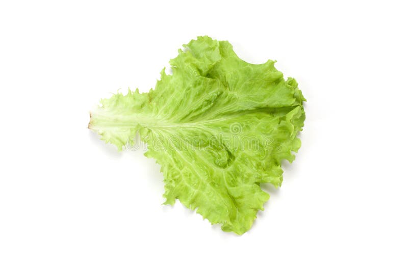 Salad leaf