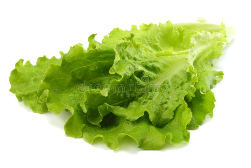 salad leaf isolated on a white background