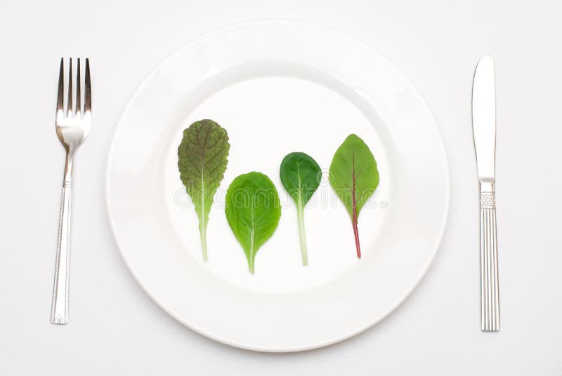Salad leaf on the plate