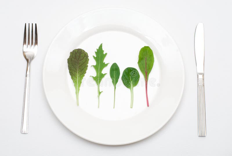 Salad leaf on the plate