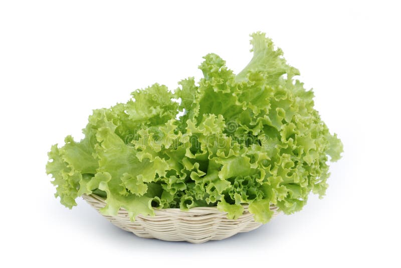 Salad leaves