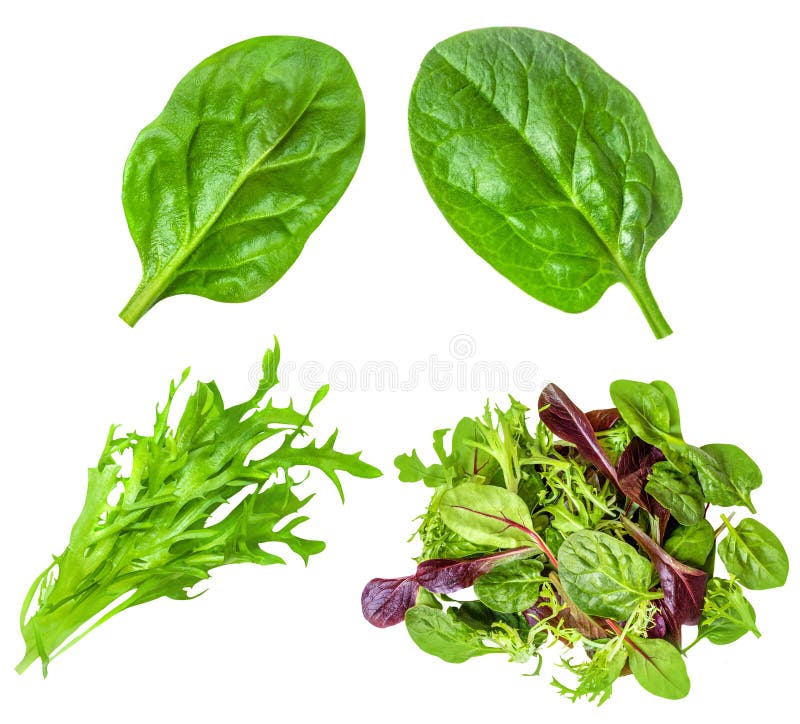 Salad Leaves Mix Isolated on White Background. Salad Collection Top