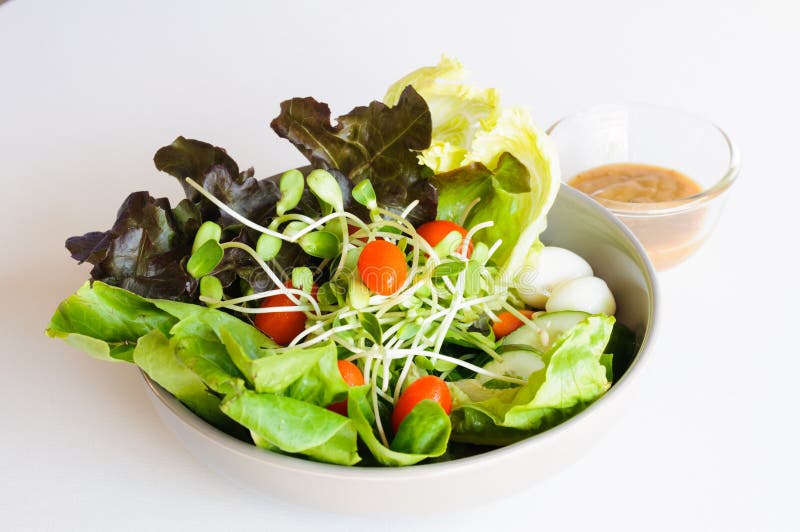 Salad mix eggs stock image. Image of fresh, healthy, nature 40363415