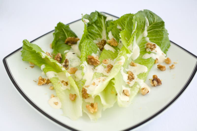 Salad Romaine Lettuce with Ranch Dressing Stock Photo Image of