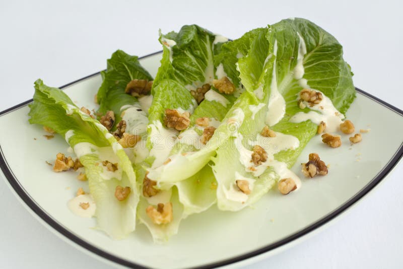 Salad Romaine Lettuce With Ranch Dressing Picture. Image 2056594