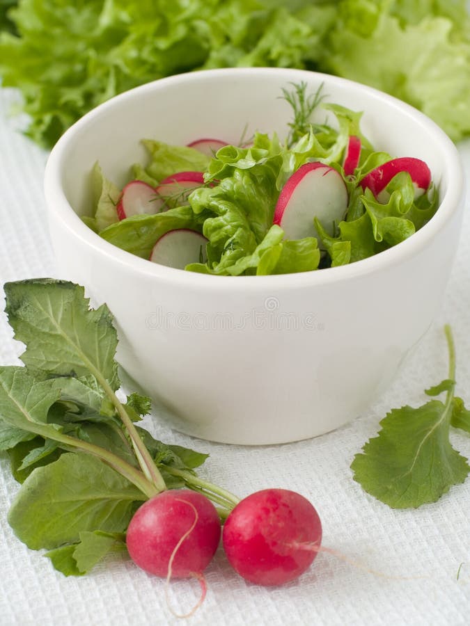 Salad from salad and garden radish