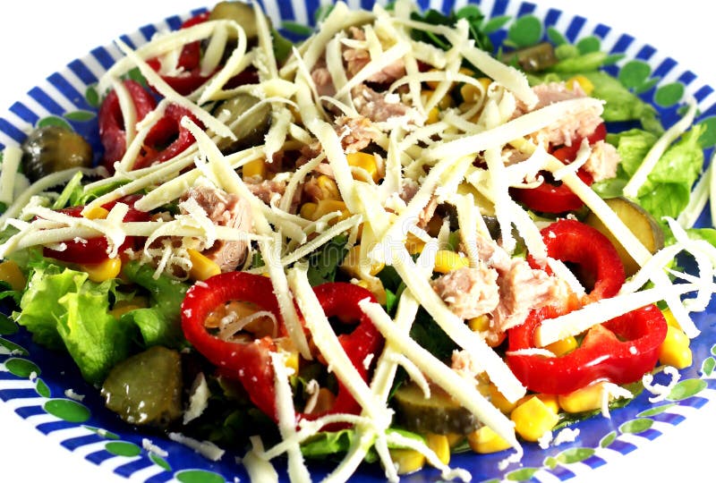 Salad with Tuna Fish and Cheese Stock Image Image of cheese