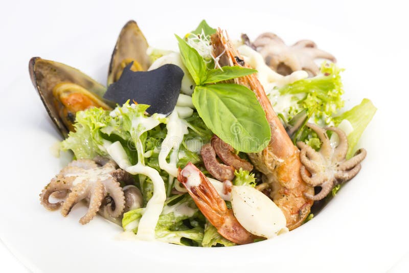 Salad with Vegetables and Seafood Stock Photo Image of diet, fork