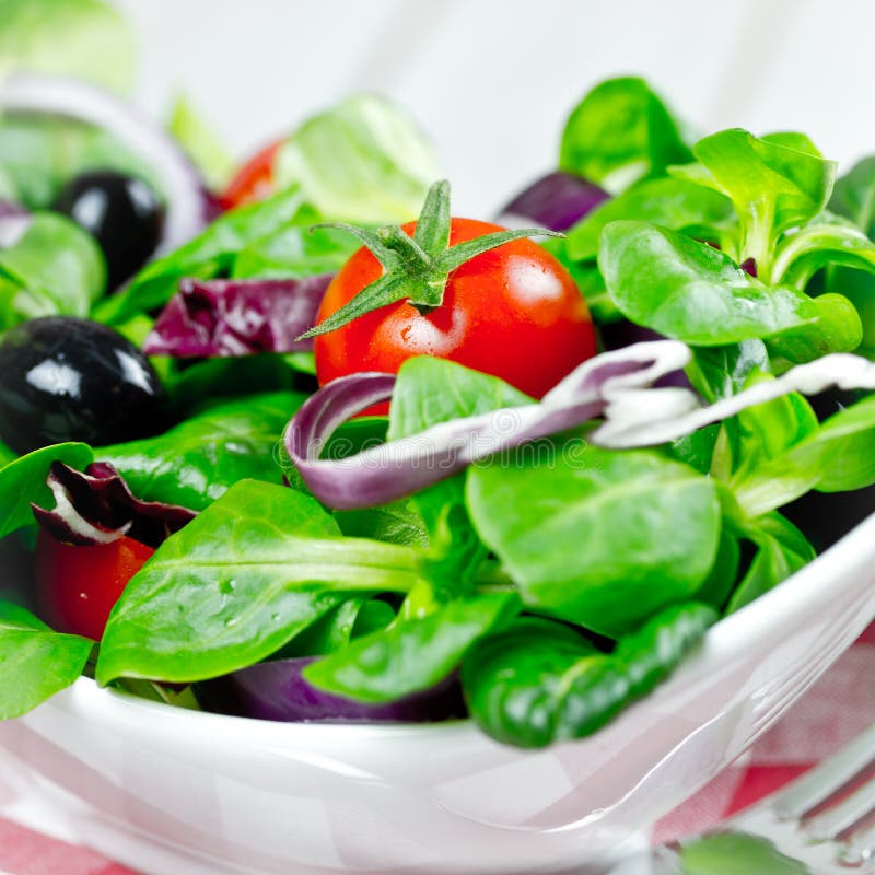 Salad in white bowl stock photo. Image of dieting, lettuce 41807124