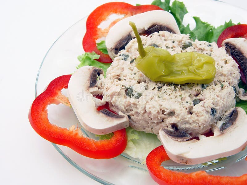 Salada 2 do atum imagem de stock royalty free Salada 2 do atum imagem de stock royalty free