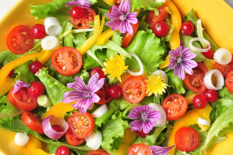 Salad with raw fruit and vegetables : flowers, ribes,onion, tomato, salad and corn. Vegan,alkaline , raw dish with fresh vegetables. Salad with raw fruit and vegetables : flowers, ribes,onion, tomato, salad and corn. Vegan,alkaline , raw dish with fresh vegetables.