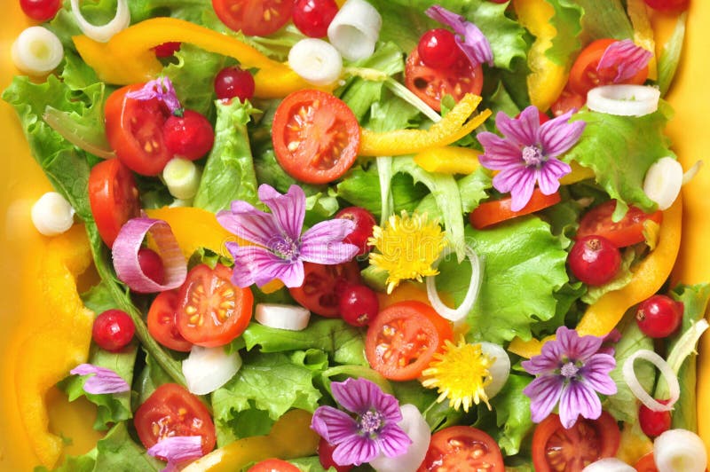 Salad with raw fruit and vegetables : flowers, ribes, onion, tomato, salad and corn. Vegan, alkaline , raw dish with fresh vegetables. Salad with raw fruit and vegetables : flowers, ribes, onion, tomato, salad and corn. Vegan, alkaline , raw dish with fresh vegetables.