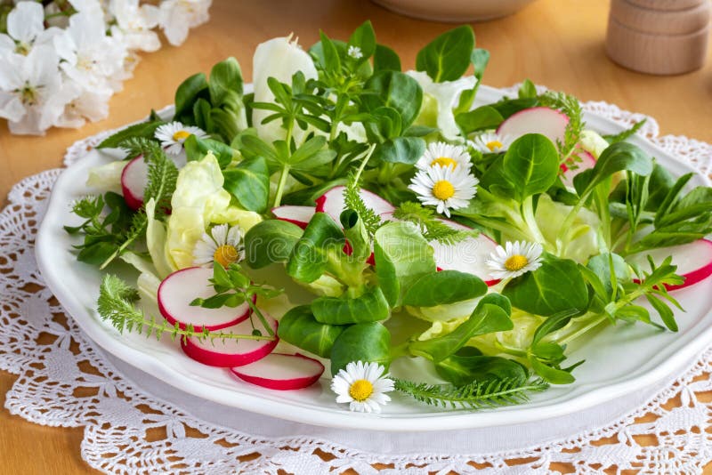 Salada da mola com morrião dos passarinhos, bedstraw, yarrow e margaridas fotografia de stock royalty free Salada da mola com morrião dos passarinhos, bedstraw, yarrow e margaridas fotografia de stock royalty free