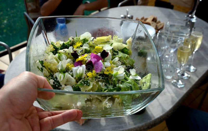 Salada de primavera com flores e sementes numa taça transparente. fotos de stock royalty free