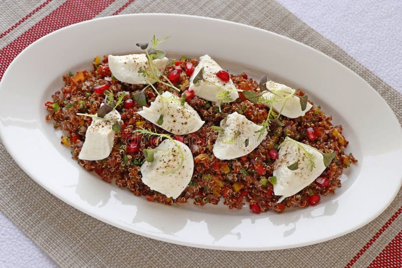 Salada do Quinoa com mozzarella do búfalo em uma placa branca imagem de stock royalty free Salada do Quinoa com mozzarella do búfalo em uma placa branca imagem de stock royalty free