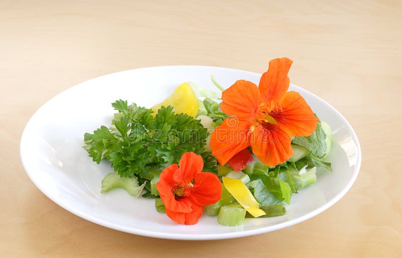 Salada do verão fotografia de stock Salada do verão fotografia de stock