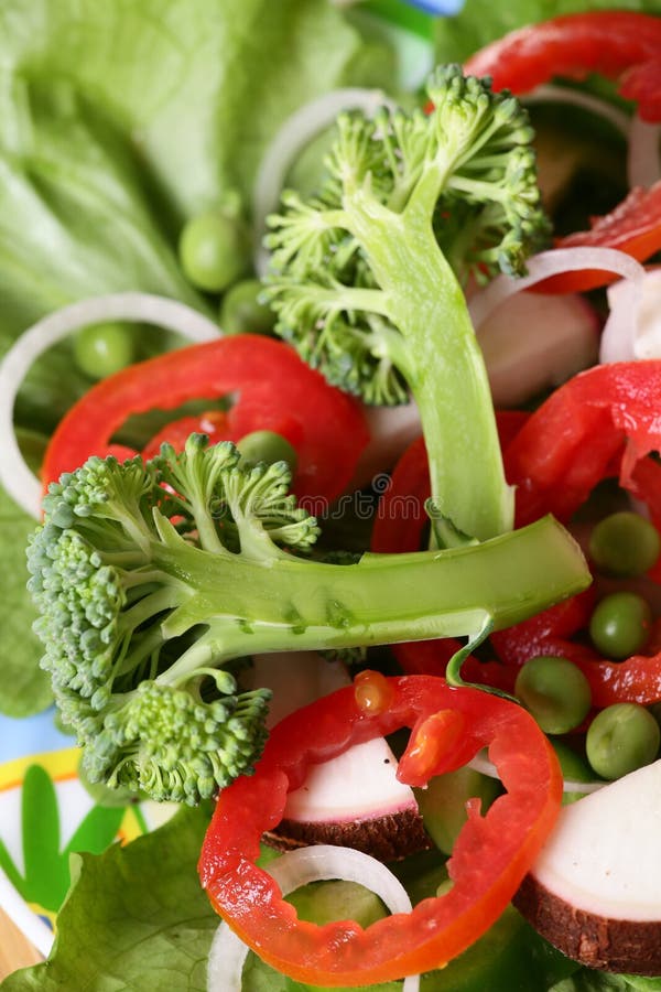 Salada fresca imagens de stock