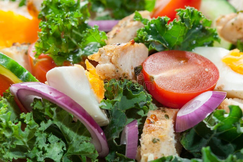 Download Salada Fresca Com Galinha, Tomates, Ovos E Alface Na Placa Imagem de Stock - Imagem de jantar, fresco: 65575601