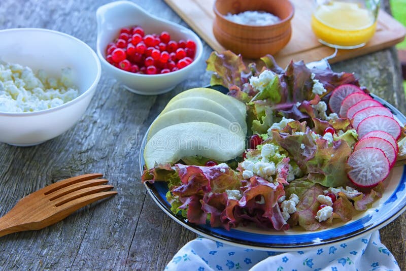 A salada fresca do lattuce nomeou Lollo Rosso e frutos e bagas fotografia de stock royalty free A salada fresca do lattuce nomeou Lollo Rosso e frutos e bagas fotografia de stock royalty free