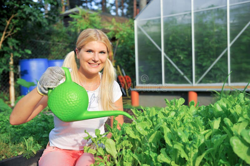 Linda jardineira a regar a salada foto de stock royalty free