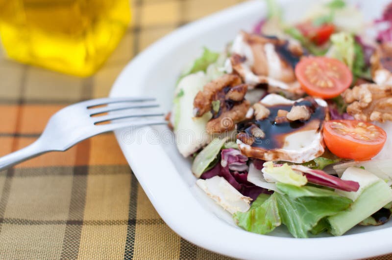 Salade avec du fromage image stock Salade avec du fromage image stock