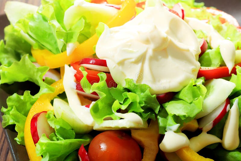 Salade avec la mayonnaise photo stock. Image du cuisinier 15151118