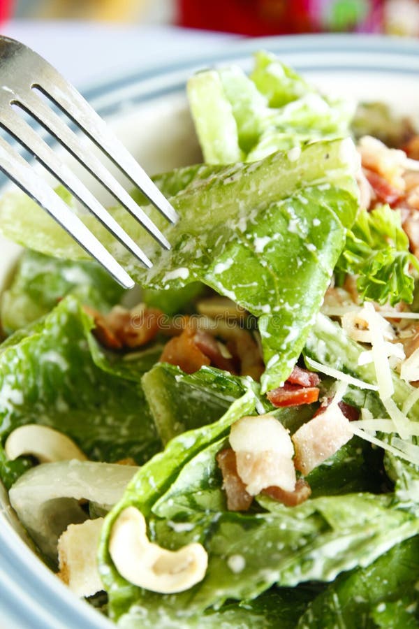 Salade de César avec la fourchette photos libres de droits