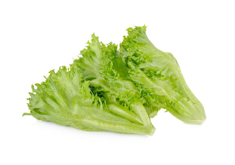 Salade 'Iceberg' fraîche de Frillice sur le fond blanc image stock Salade 'Iceberg' fraîche de Frillice sur le fond blanc image stock