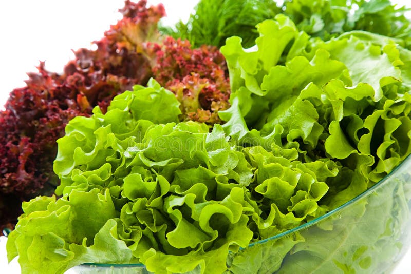 Some bunches of fresh salads in a glass bowl. Some bunches of fresh salads in a glass bowl