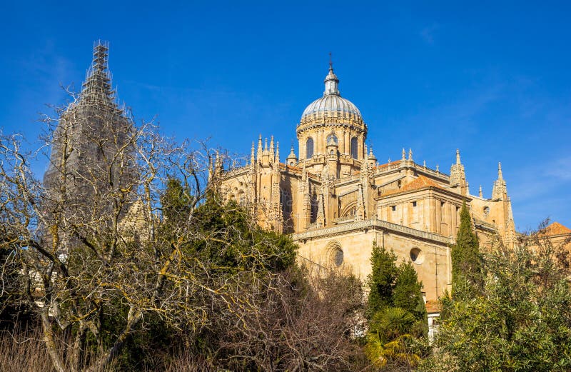 Salamanca Cathedral Astronaut Stock Image Image of spain, carved