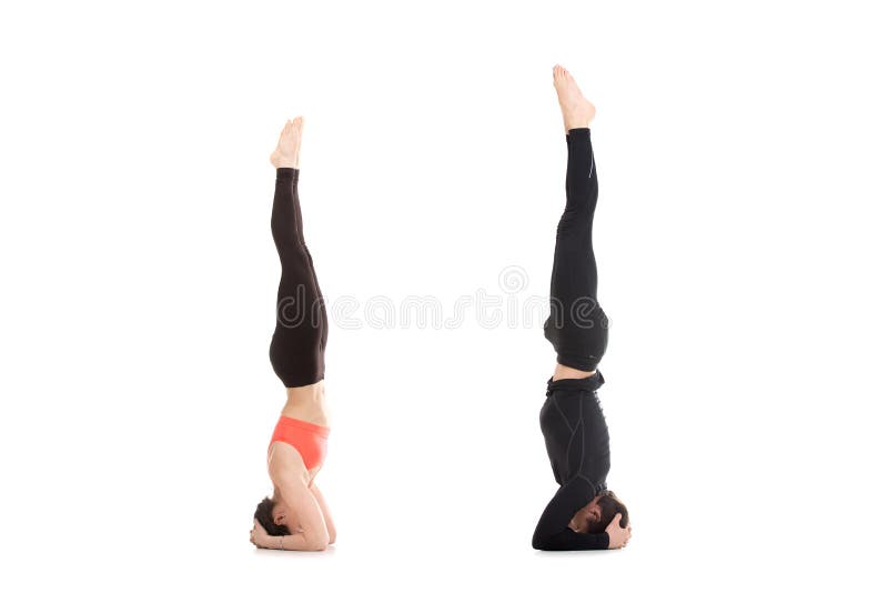 Acroyoga Duo Tripod Headstand Salamba Sirsasana Stock Photo - Download  Image Now - Acroyoga, Adult, Athleticism - iStock