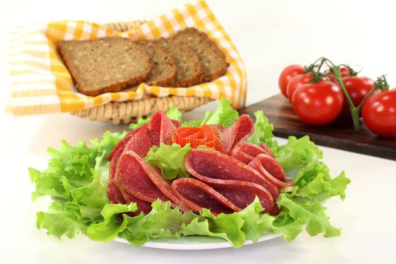 Salami stock photo. Image of bread, leaf, dinner, slices 19364190