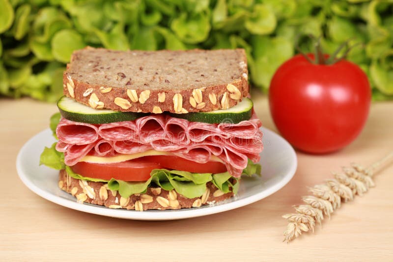 Salami Sandwich stock photo. Image of gouda, vegetable - 22443520