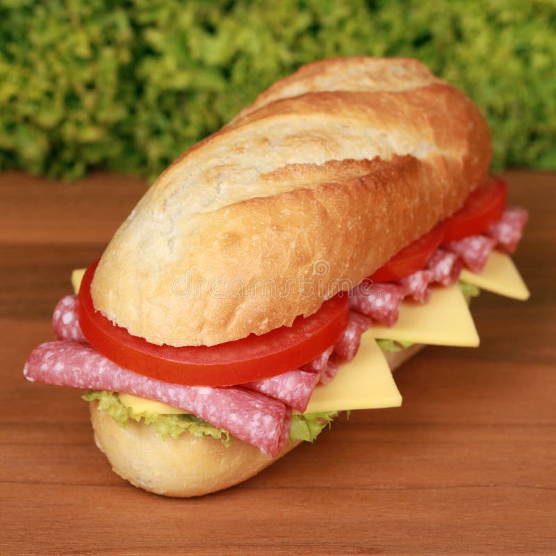 Salami Sandwich stock photo. Image of close, cheese, salami - 24309624