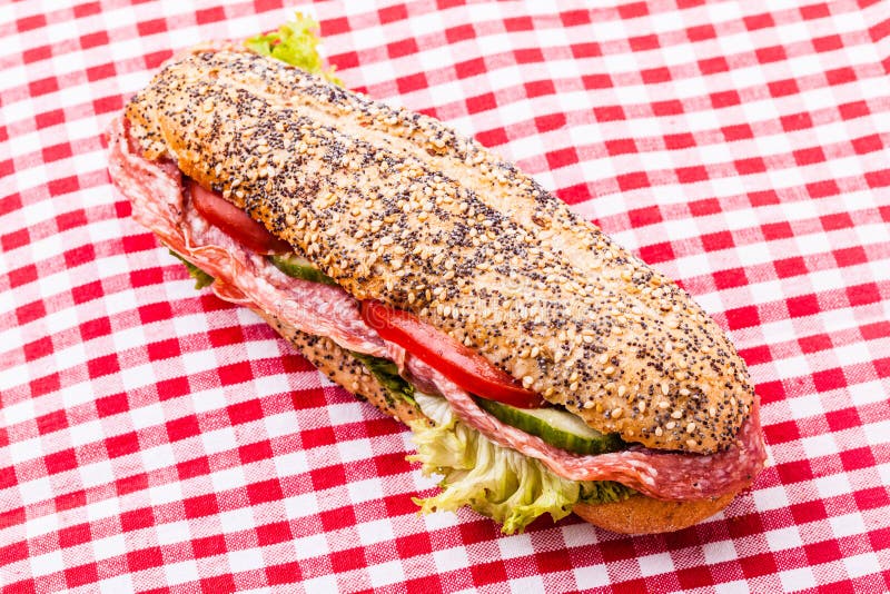 Salami sandwich stock photo. Image of bran, braid, large 49112676