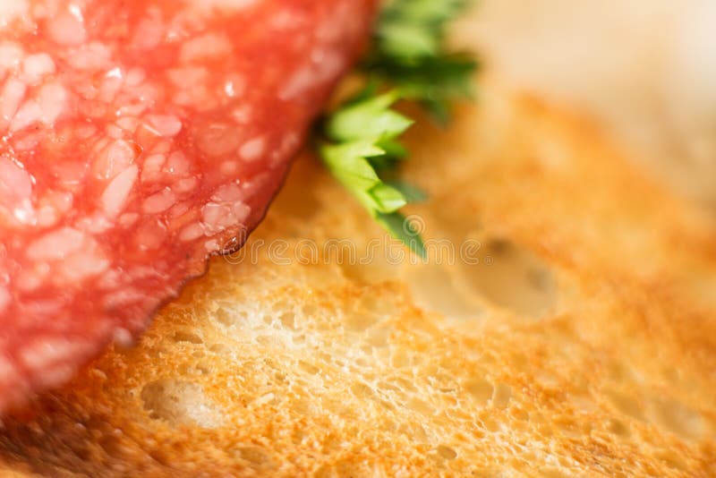 Salami Sausage on a Slice of White Bread Macro Shot Stock Image Image of lunch, ingredient