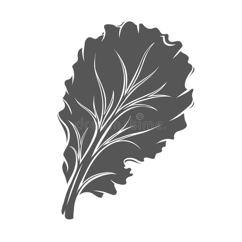 Salatblatt-Scheiben – Glyphen-Symbol lizenzfreie abbildung