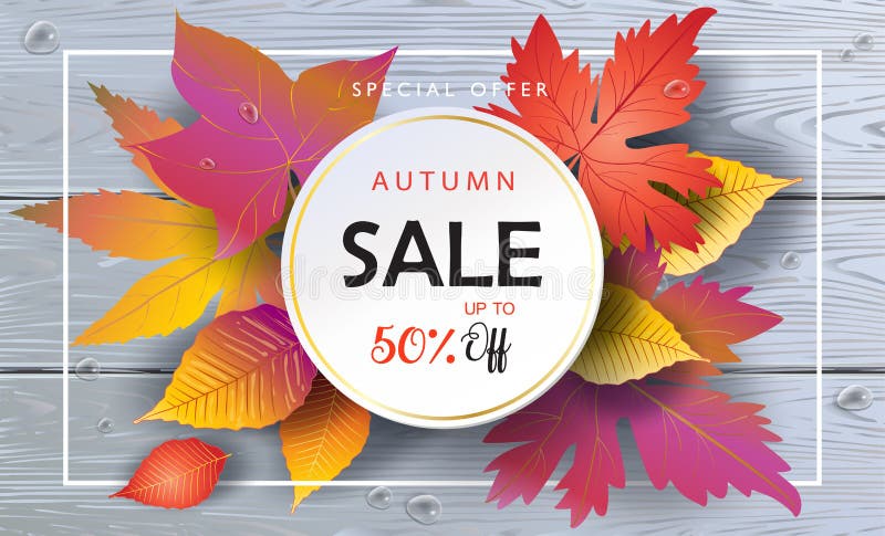 Sale Autumn leaves wooden background